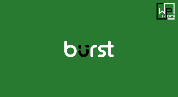 Burst Statistics – Privacy-Friendly Analytics for WordPress